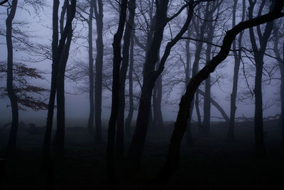 Silhouette trees in forest against sky