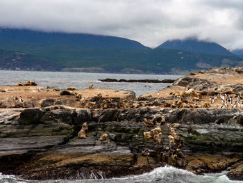 Scenic view of rocks on shore against sky