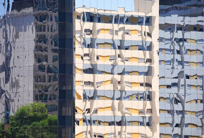 Reflection of buildings on glass window