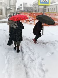 Woman standing on snow covered landscape