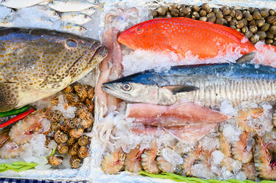 Close-up of fish for sale in market