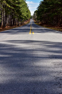 Surface level of empty road along trees