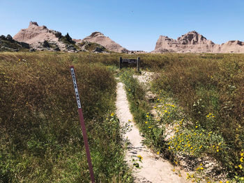 Grass trail against sky