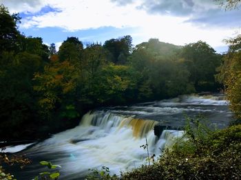 Scenic view of waterfall in forest against sky