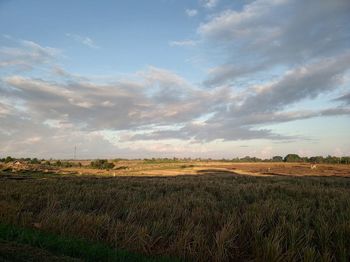 Scenic view of field against sky during sunset