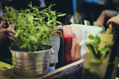 Close-up of potted plant on table