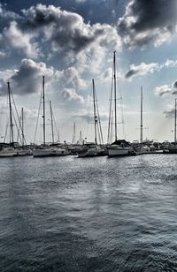 Boats moored at harbor