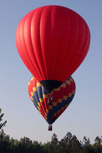 Low angle view of hot air balloons against clear sky