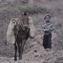 Full length of child standing on field