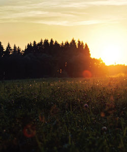 Scenic view of field against sky during sunset