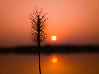 Silhouette tree by lake against romantic sky at sunset