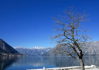 Scenic view of frozen lake against clear blue sky