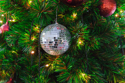 Close-up of illuminated christmas tree at night