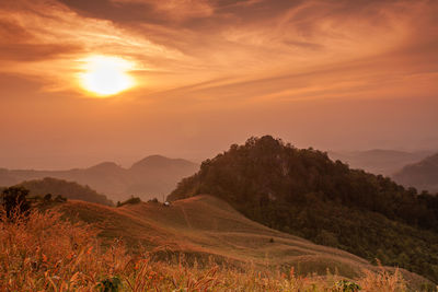 Scenic view of field against sky during sunset