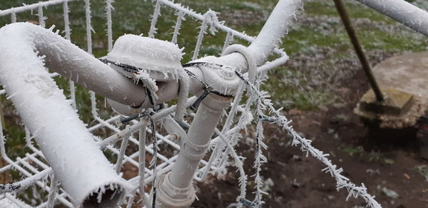 Close-up of frozen plants on land