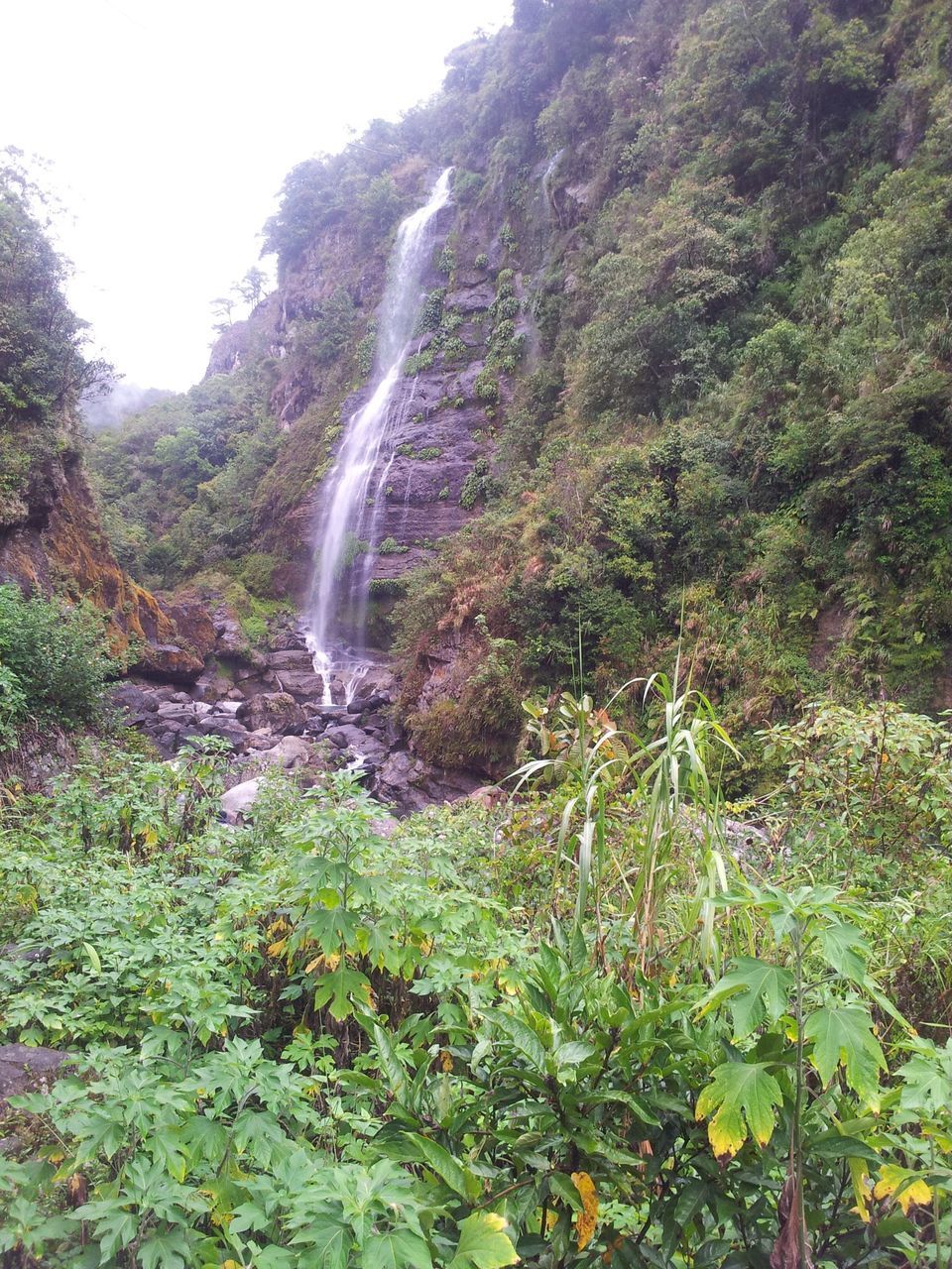 beauty in nature, scenics, waterfall, nature, forest, tree, tranquility, tranquil scene, growth, rock - object, flowing water, plant, water, motion, mountain, idyllic, non-urban scene, flowing, sunlight, day