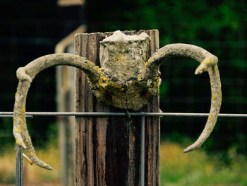 Close-up of rusty metal