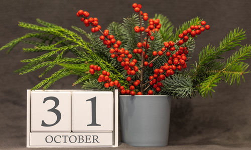 Close-up of red berries on plant