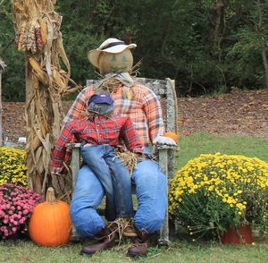 Full length of man with flowers and trees