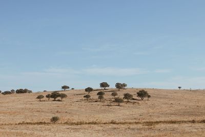 Scenic view of desert against sky