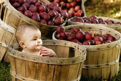 Baby girl in a apple basket at the twenty acre farm in grand isle, vermont.