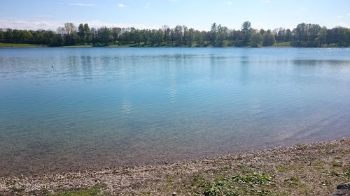 Reflection of trees in calm lake