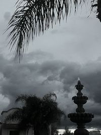 Low angle view of palm tree against sky