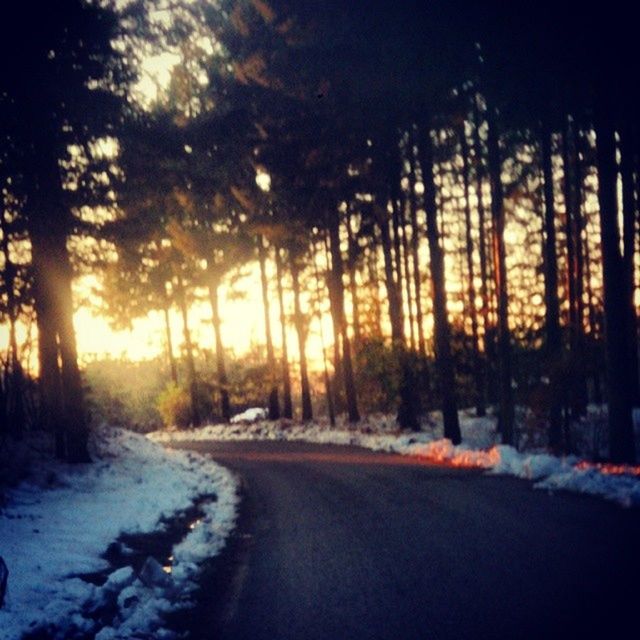 snow, winter, cold temperature, season, tree, tranquility, sunset, weather, the way forward, tranquil scene, nature, road, beauty in nature, covering, sun, scenics, landscape, sunlight, frozen, field