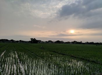 Scenic view of field against sky during sunset