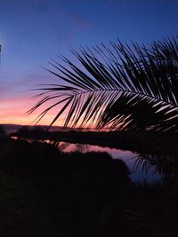 Silhouette palm tree against sky at sunset