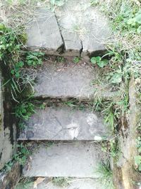 steps