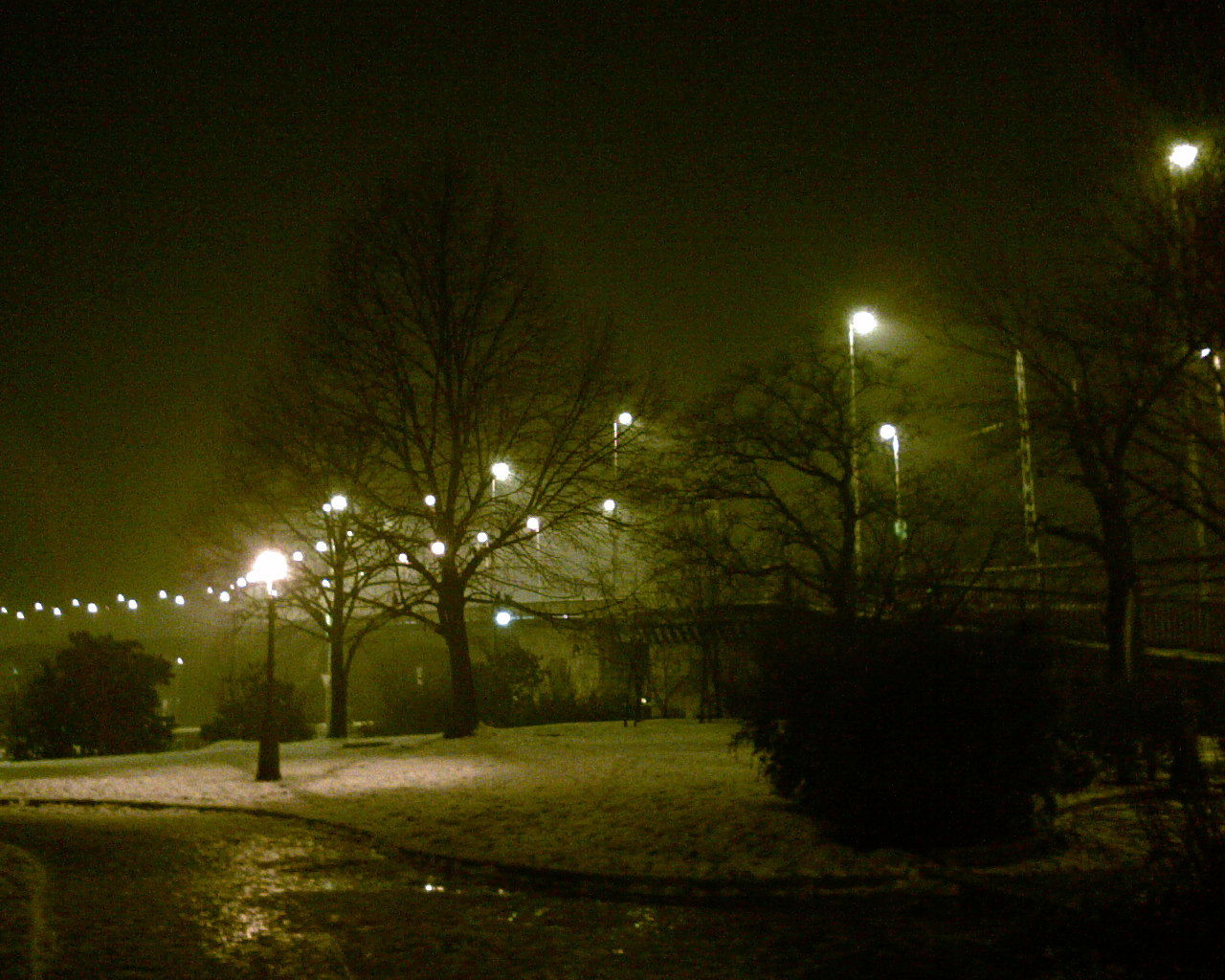 illuminated, night, street light, lighting equipment, outdoors, no people, tree, grass, nature, sky, beauty in nature