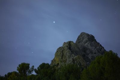 Low angle view of trees against sky at night