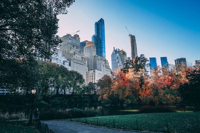 Trees in park with city in background