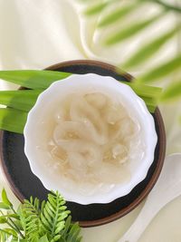 Close-up of ice cream in plate