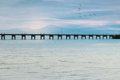 Silhouette birds flying over sea against sky