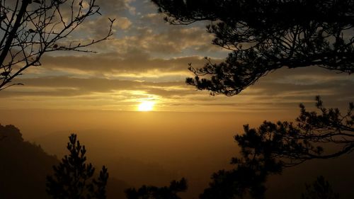 Silhouette of trees against cloudy sky