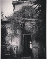 architecture