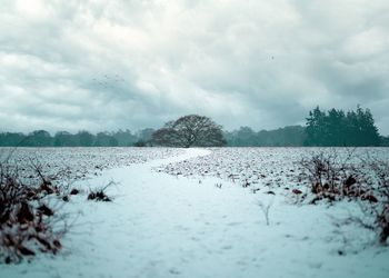 Scenic view of snow covered land against sky