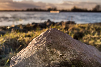 Close-up of rock on shore against sky