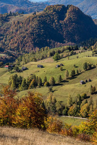 High angle view of trees on landscape during autumn