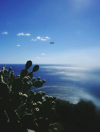 Close-up of airplane flying over sea against sky