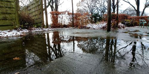 Scenic view of lake in park during winter