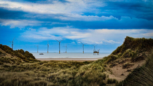 environmental conservation