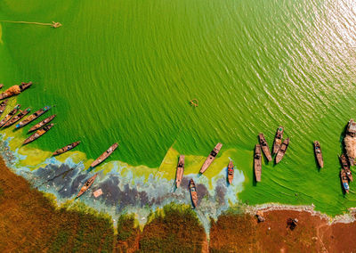 High angle view of birds in lake