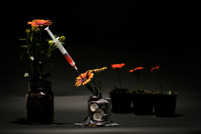 Close-up of lit candle on table against black background