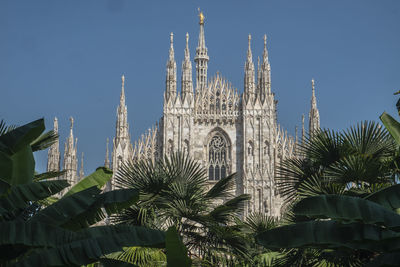 Low angle view of palm trees against sky