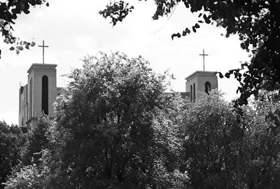 Building with trees in background