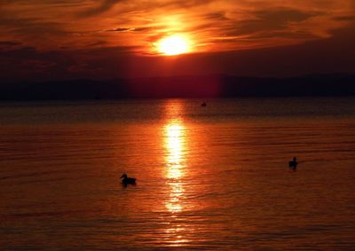 Scenic view of sea against orange sky