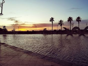 Silhouette palm trees against sky during sunset